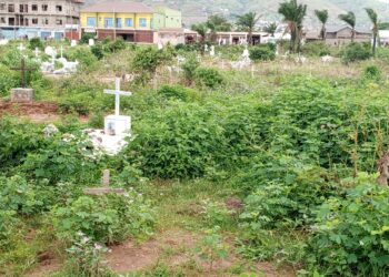 Ruziba:Abafovye ababo mw’itongo ry’abapfu basaba gushigikirwa kugira bimure ibisigarira vy’abo