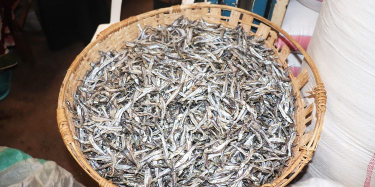 Igiciro c’indagara caraduze mu gisagara ca Bujumbura