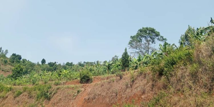 Haribonekeza ubukene bw’ifumbire muri komine Vumbi