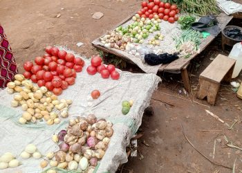 Bubanza :ukwiteza imbere kubakenyezi mu ngo zabo