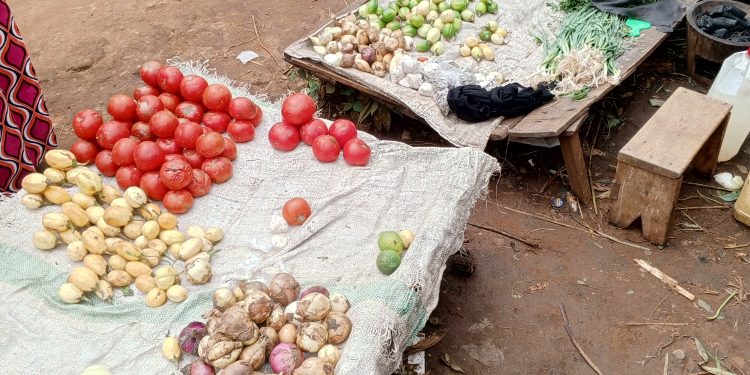 Bubanza :ukwiteza imbere kubakenyezi mu ngo zabo